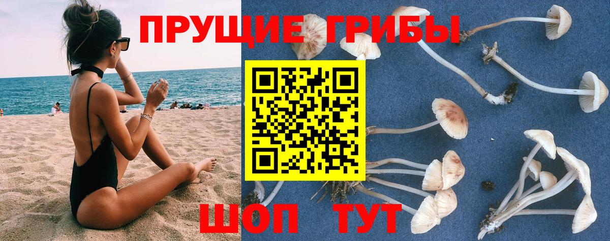 Георгиевск  Псилоцибиновые грибы мицелий  Вход с VPN  Галлюциногенные грибы мухоморы 